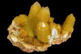 Sunshine Cactus Quartz Crystal - South Africa #96267-2